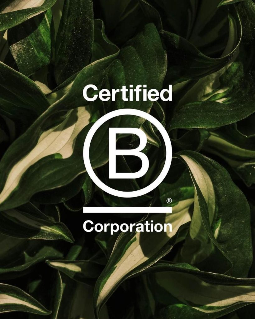 comfort-zone-b-corporation